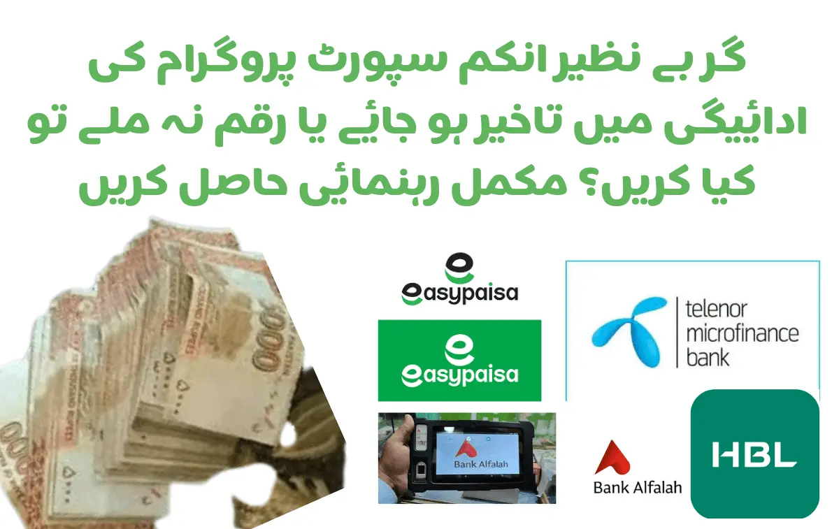 What to Do If BISP Payment Is Delayed or Missing