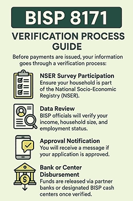 BISP 8171 Verification Process Guide