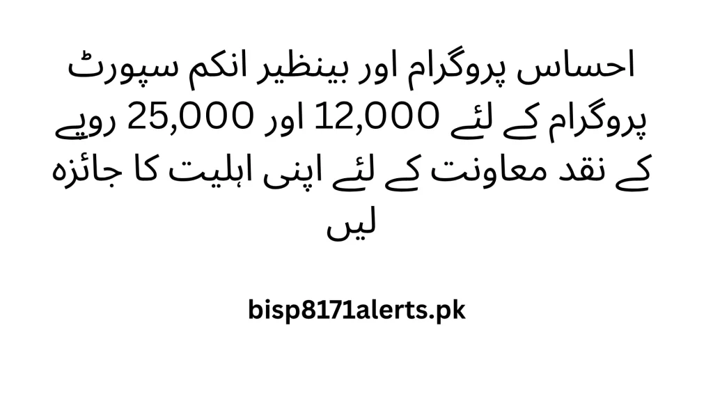 BISP 8171 CNIC Check guide