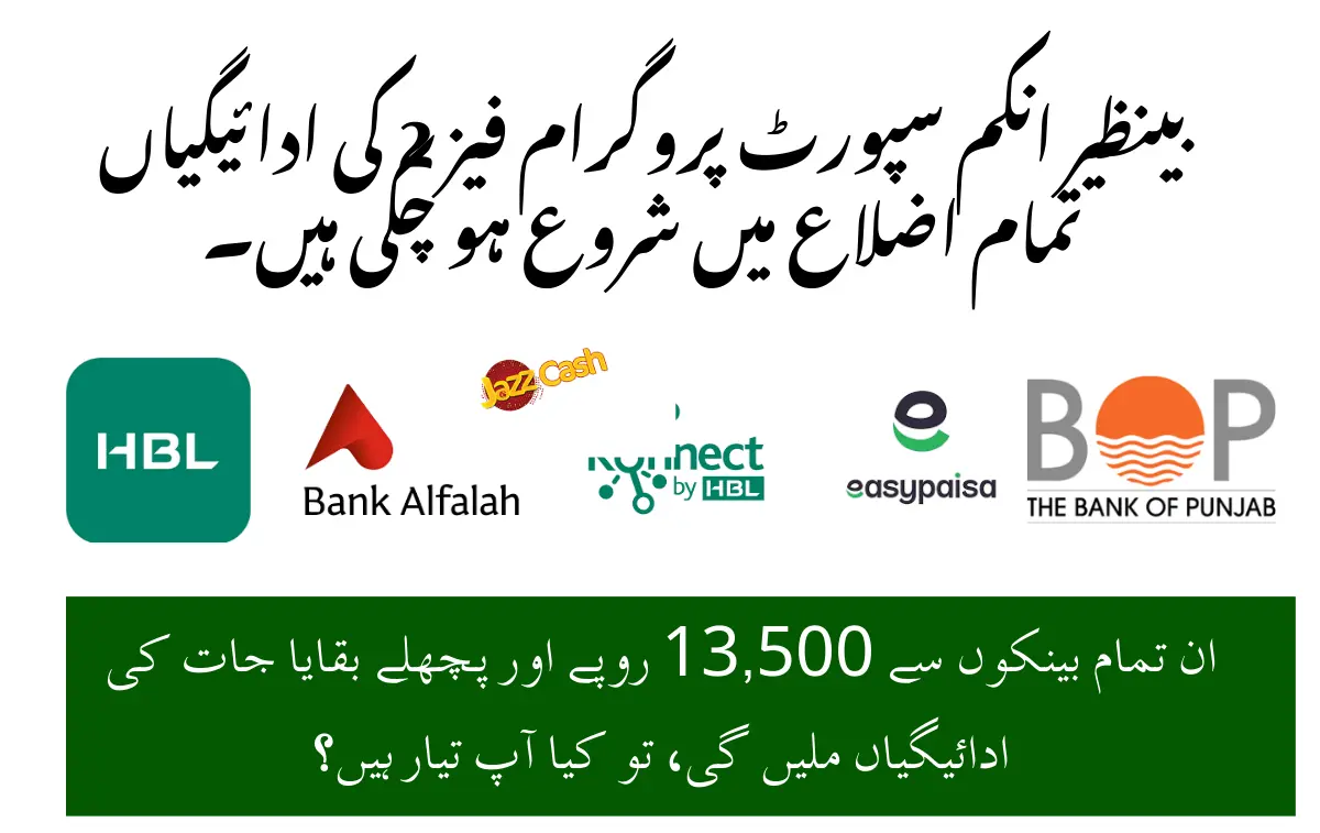 bisp phase 2 payment may and june 2025-min